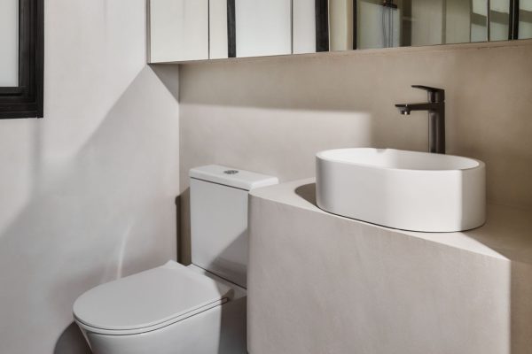 image-435A-Punggol-Point-Crown1